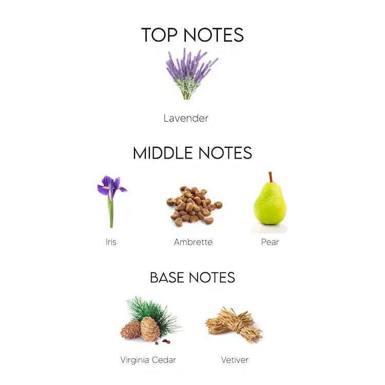 DIOR HOMME INTENSE 10ml